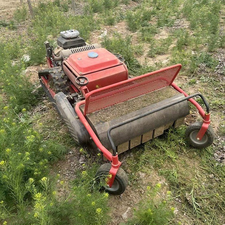 gas push mower